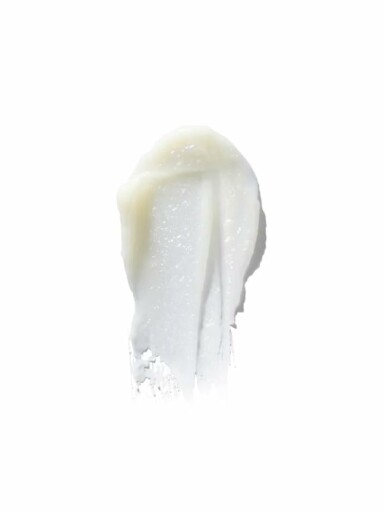 The Adults are Talking Solid Serum Lip Balm close-up image