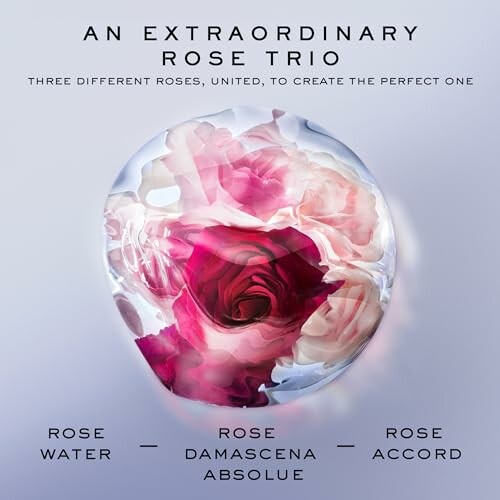 Three roses united in a translucent sphere with text 'An Extraordinary Rose Trio'
