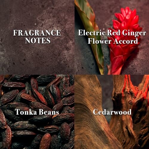 Fragrance notes: electric red ginger flower accord, tonka beans, cedarwood.