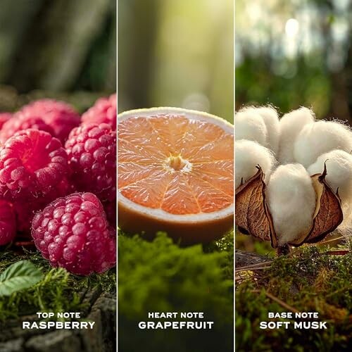 Fragrance notes with raspberry, grapefruit, and soft musk