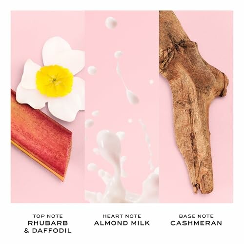 Fragrance notes: rhubarb and daffodil, almond milk, cashmeran.