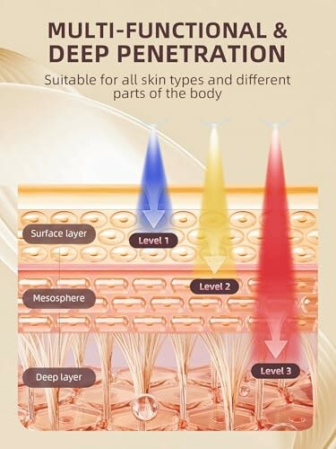 Diagram showing multi-functional skin penetration at three levels.