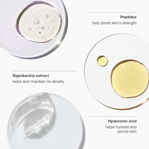 Three skincare ingredients: peptides, sigesbeckia extract, and hyaluronic acid with descriptions
